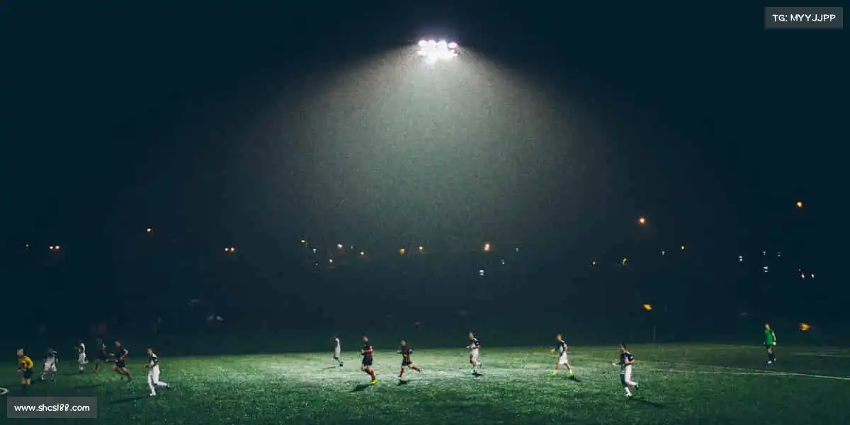 大红鹰dhy0033——🏆体育精神，永不止步！